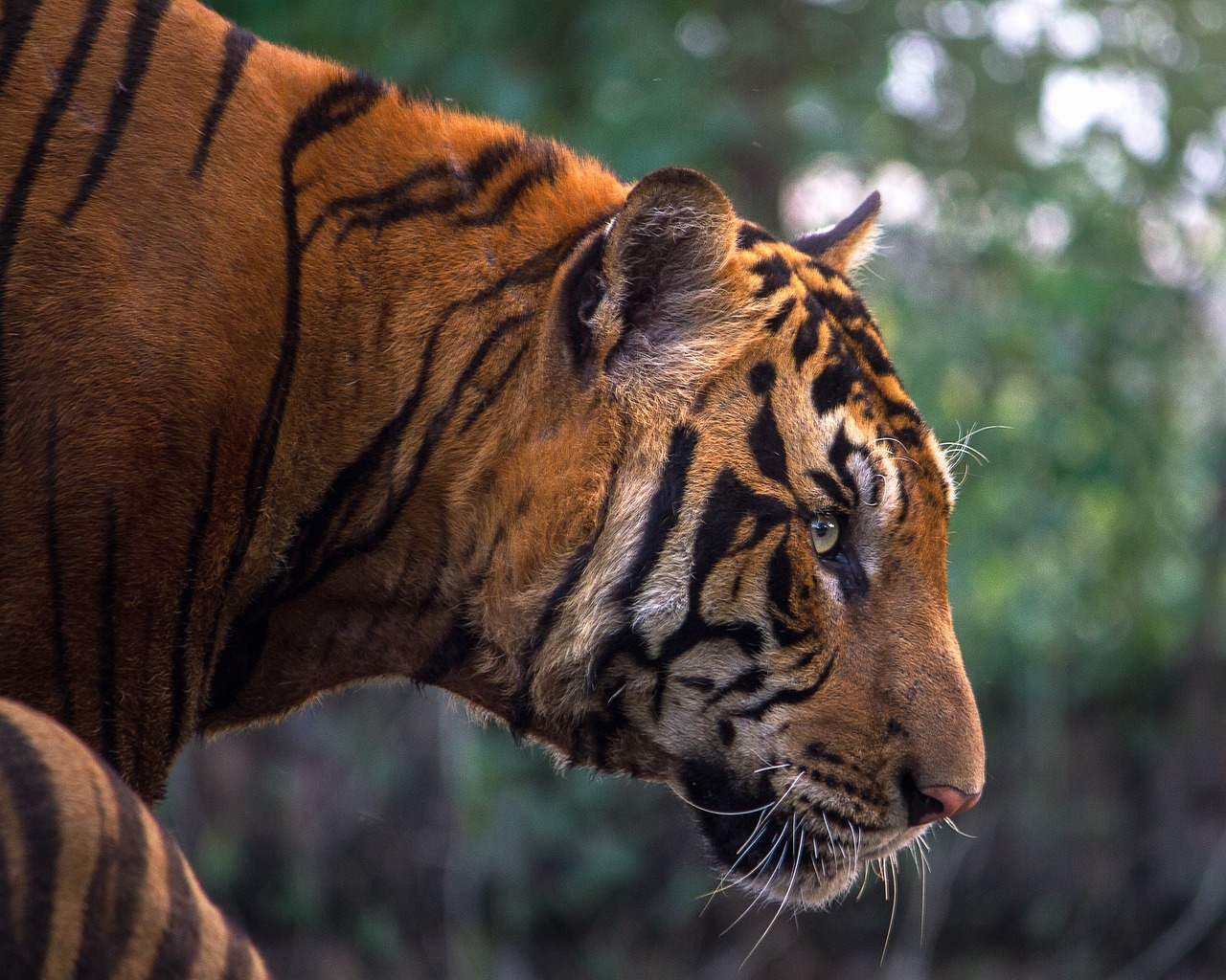Best Places In Ranthambore National Park